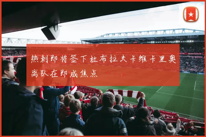 热刺即将签下杜布拉夫卡维卡里奥离队在即成焦点